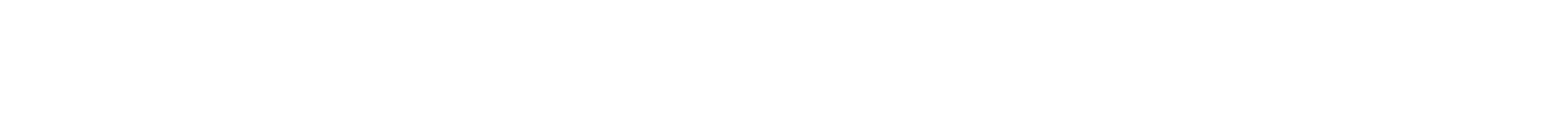 Nano Energy Logo in weiß